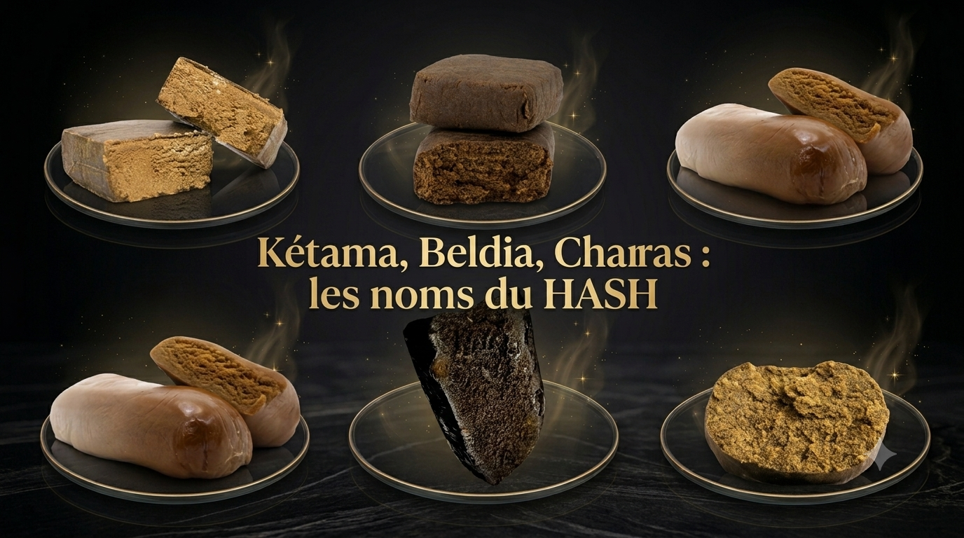 noms du HASH : Ketama, Beldia, Charras 
