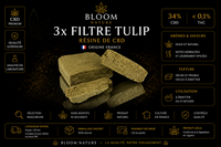 image produit 3x filtre tulip