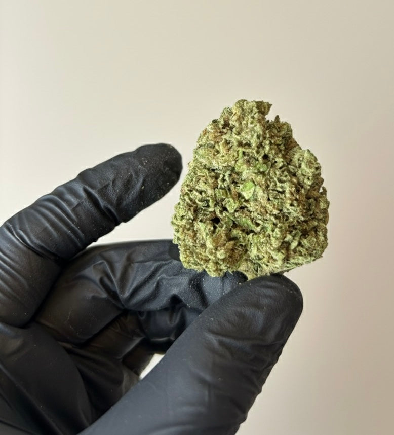 CBD BIO amnezia