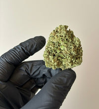CBD BIO amnezia