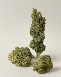 fleur CBD amnezia BIO