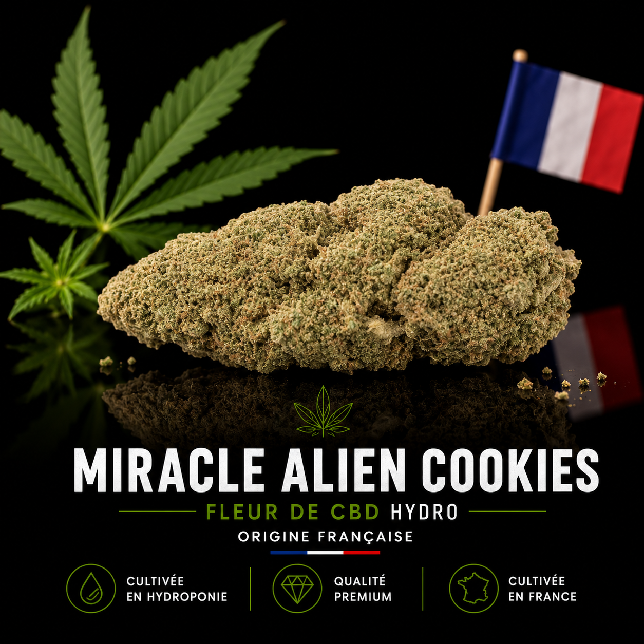 Miracle Alien Cookies Fleur CBD hydroponique