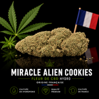 Miracle Alien Cookies Fleur CBD hydroponique