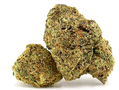 Mandarine Sorbet Hydro