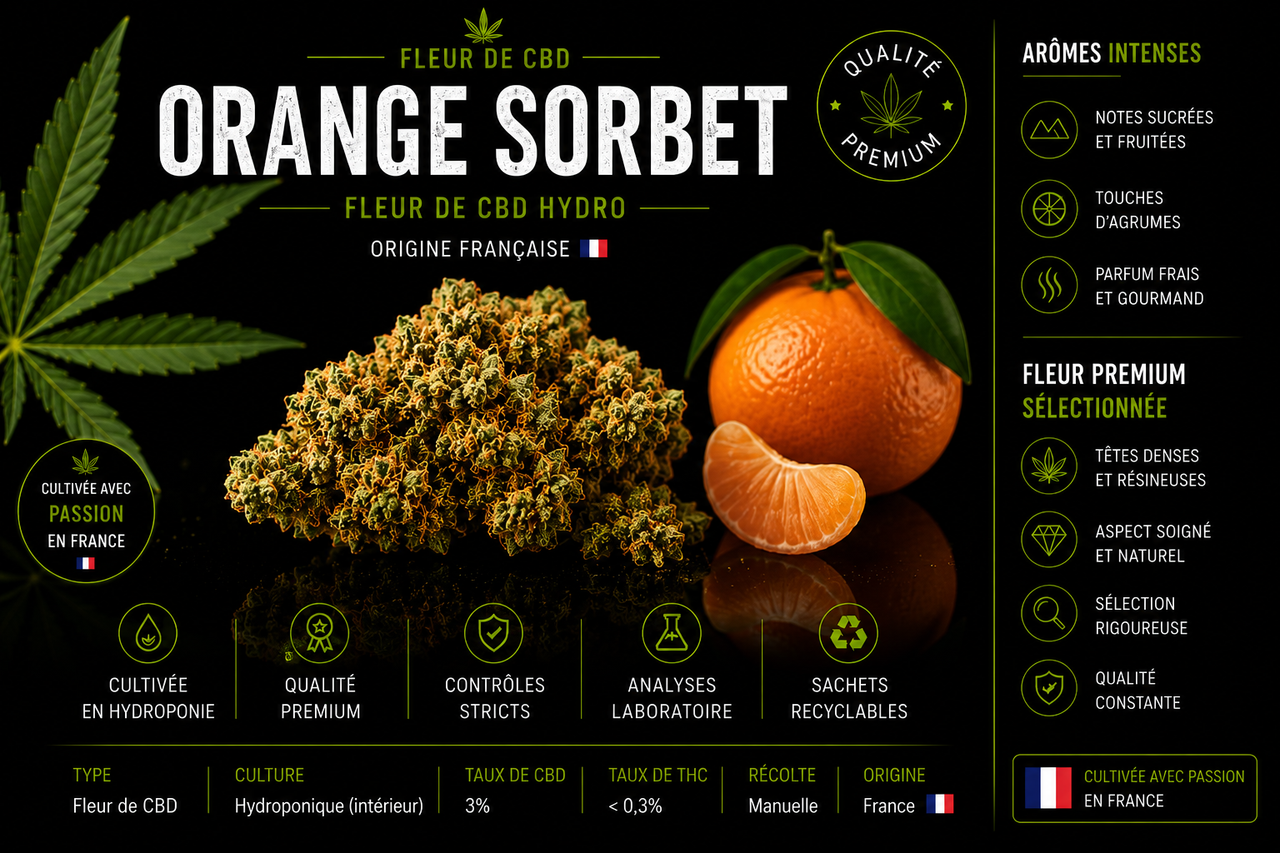 Orange sorbet fleur de CBD