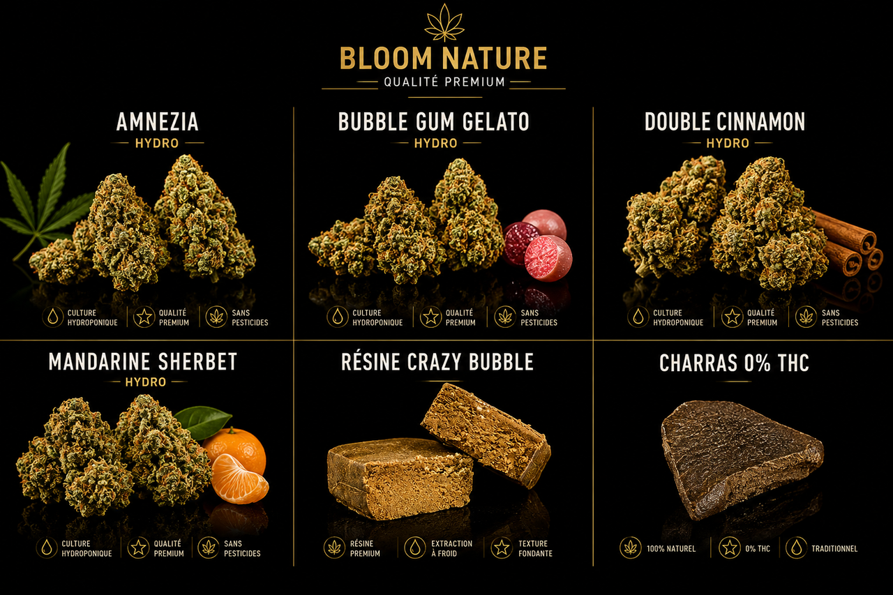 pack Découverte CBD Bloom Nature
