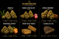 pack Découverte CBD Bloom Nature