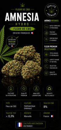 Fleur CBD Amnezia Hydro 8% – France | Bloom Nature