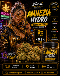 amneziaé hydro et une icone americaine