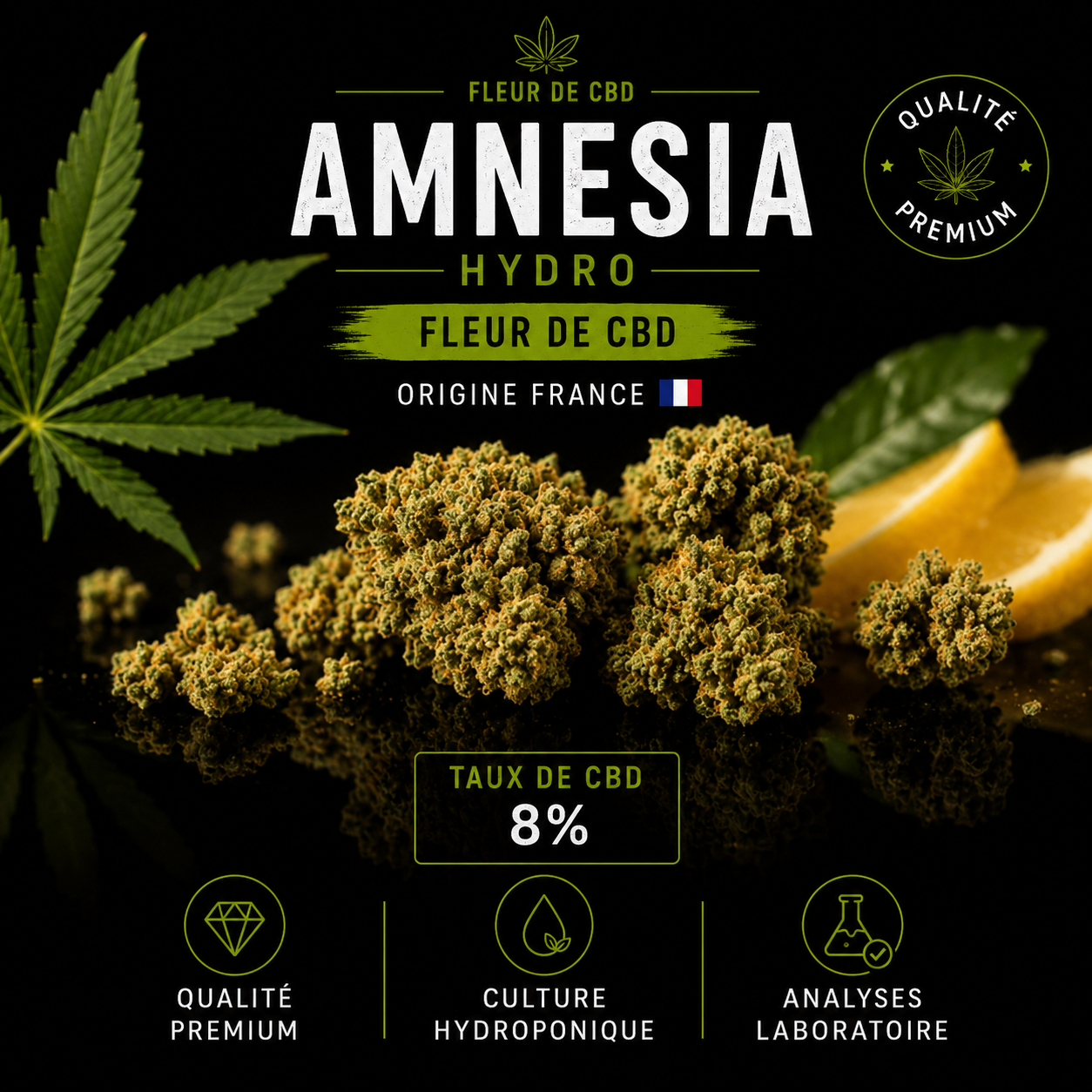 amnezia hydroponique