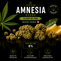 amnezia hydroponique