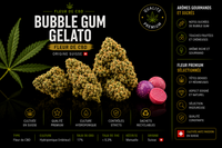 Fleur CBD Hydroponique bubble gum