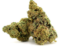 bubble gum gelato CBD hydro