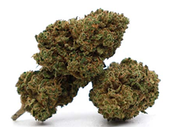 Double" cinnamon hydro CBD