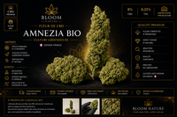 amnezia CBD BIO