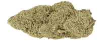 Miracla Alien cookies fleur CBD