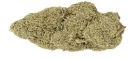 Miracla Alien cookies fleur CBD