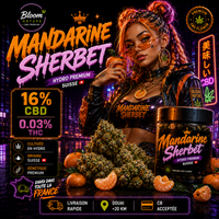 personnage Mandarine Sherbet CBD